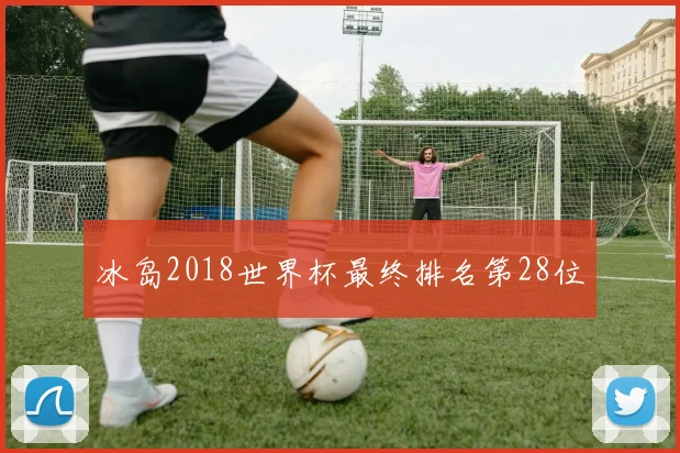 冰岛2018世界杯最终排名第28位