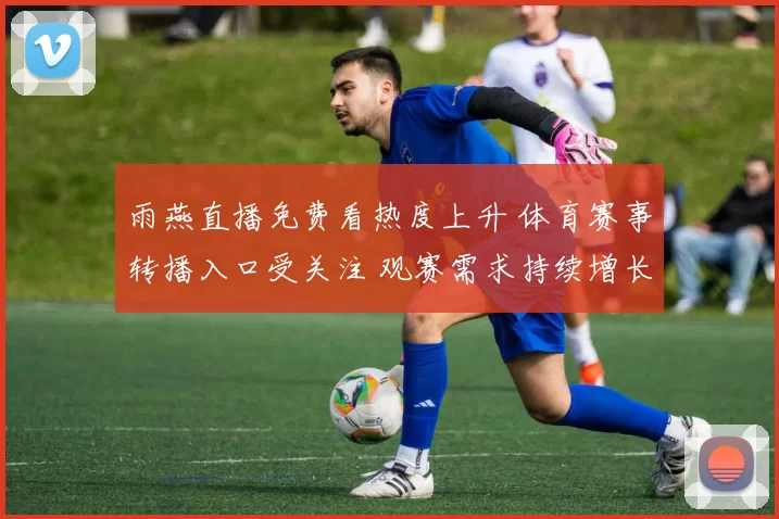 雨燕直播免费看热度上升 体育赛事转播入口受关注 观赛需求持续增长