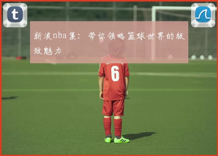 新浪nba集:带你领略篮球世界的极致魅力