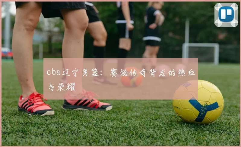 cba辽宁男篮：赛场传奇背后的热血与荣耀