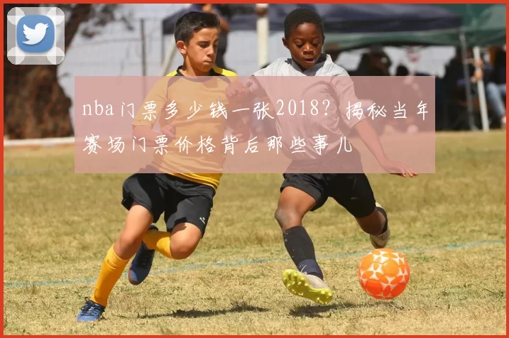 nba门票多少钱一张2018？揭秘当年赛场门票价格背后那些事儿