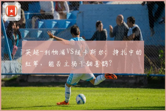 英超-利物浦VS纽卡斯尔:挣扎中的红军,能否主场干翻喜鹊?